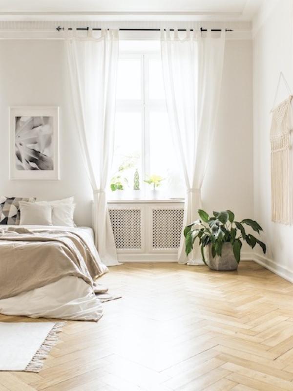 Feng Shui: Learn how to nail the basics
